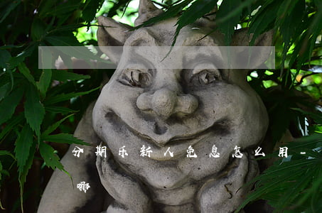 分期乐新人免息怎么用-分期乐新人礼包在哪