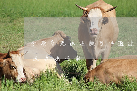 分期乐无法还款可以通过二维码吗-分期乐没办法还款
