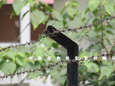 分期乐有免息金(分期乐免息金是啥)