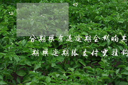 分期乐有过逾期会影响其他平台的使用吗（分期乐逾期跟支付宝挂钩吗）