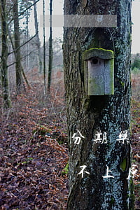 分期乐未还款登不上账号怎么办-分期乐登不上原来的账号怎么办?