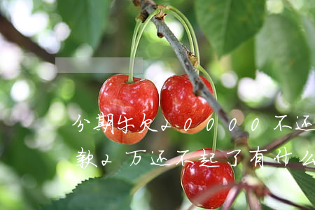 分期乐欠20000不还款贴吧-分期乐欠款2万还不起了有什么后果
