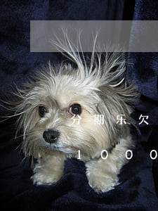 分期乐欠2000不还会怎么样(分期乐欠了10000一直没还会有什么后果)