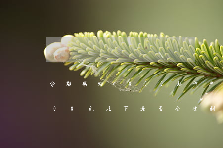 分期乐欠4000起诉户口(分期乐欠款1000元以下是否会遭到起诉)