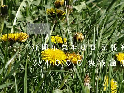 分期乐欠400元钱有逾期上征信-分期乐欠4000块钱逾期了会被起诉吗