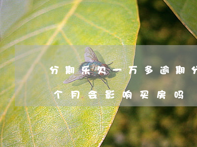 分期乐欠一万多逾期(分期乐欠一万多逾期四个月会影响买房吗)
