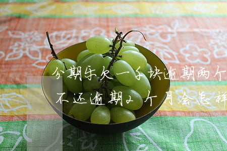 分期乐欠一千块逾期两个月(分期乐欠一万多不还逾期2个月会怎样)