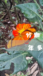 分期乐欠一千多会怎样(欠分期乐5000一年多没还了会怎么样)