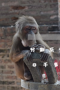 分期乐欠七千多已经逾期50天(分期乐逾期8千多,现在要起诉我怎么办)