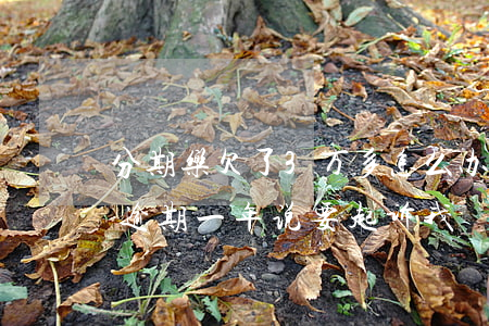 分期乐欠了3万多怎么办(分期乐欠了三千多逾期一年说要起诉我)
