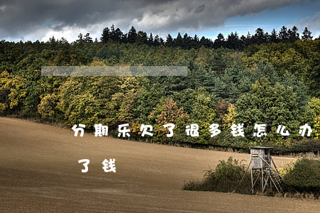 分期乐欠了很多钱怎么办(没有用分期乐却欠了钱)