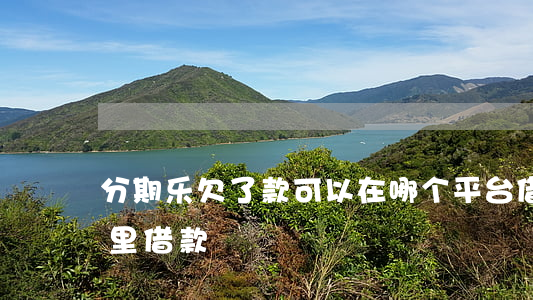 分期乐欠了款可以在哪个平台借款(分期乐哪里借款)