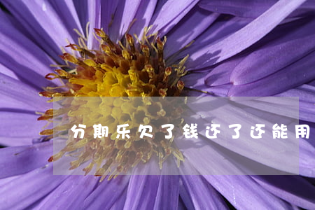 分期乐欠了钱还了还能用吗(分期乐能还清吗?)