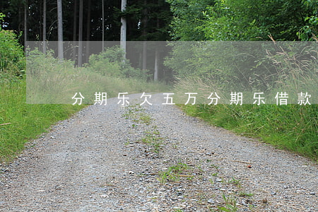 分期乐欠五万(分期乐借款5万)