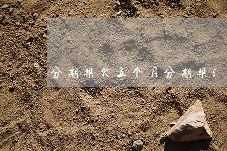 分期乐欠五个月(分期乐5个月没还)