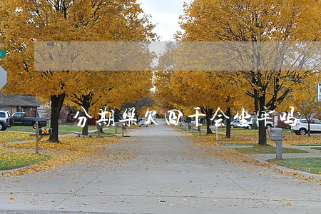 分期乐欠四千会坐牢吗