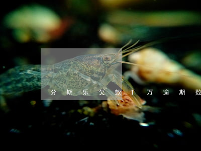 分期乐欠款1万逾期数月，真的会被起诉吗？