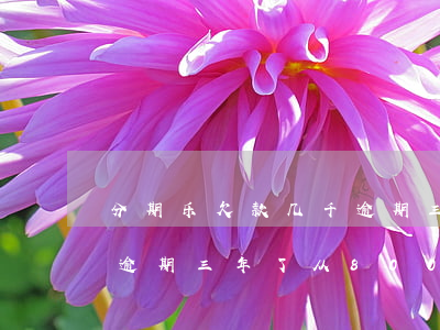 分期乐欠款几千逾期三年会上门吗-分期乐逾期三年了,从8000多现在要还19000多