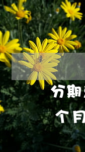 分期乐每月都会提醒还款短信吗-分期乐每个月按时还款会不会打电话