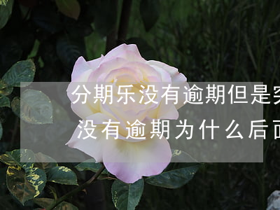 分期乐没有逾期但是突然用不了了-分期乐没有逾期为什么后面就用不了了