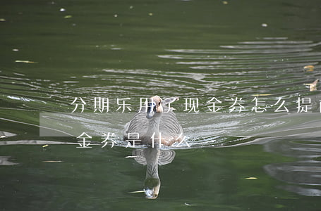 分期乐用了现金券怎么提前还款-分期乐现金券是什么
