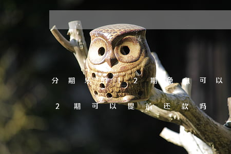 分期乐的12期免息可以提前还吗(分期乐12期可以提前还款吗)