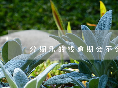分期乐的钱逾期会不会影响征信-