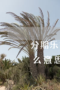 分期乐第一期免息吗(分期乐前一期免息是什么意思)