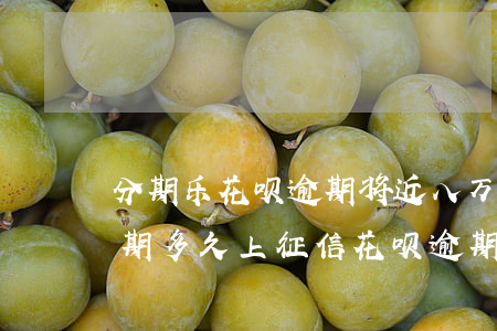 分期乐花呗逾期将近八万怎么办-分期乐逾期多久上征信?花呗逾期几天上征信