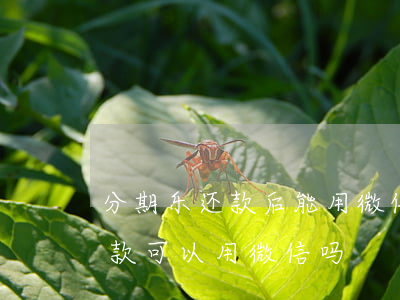 分期乐还款后能用微信借出来吗-分期乐还款可以用微信吗