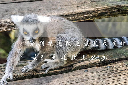 分期乐还款延误几天有什么事吗-分期乐延误2天还款怎么办