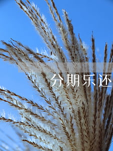 分期乐还款日前还款是什么意思-