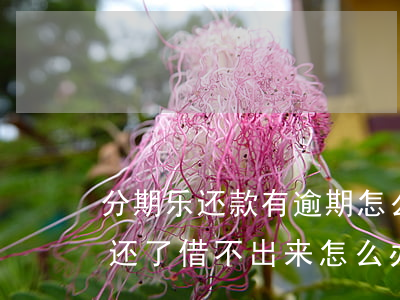 分期乐还款有逾期怎么办(分期乐逾期了然后还了借不出来怎么办)
