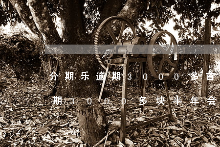 分期乐逾期3000多首期还款-分期乐逾期3000多块半年会不会坐牢