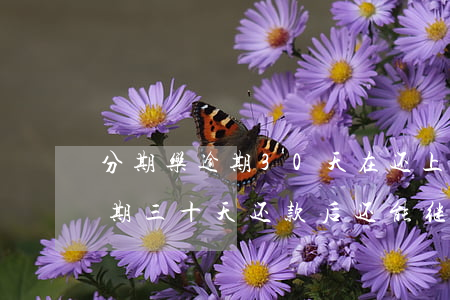 分期乐逾期30天在还上可以吗-分期乐逾期三十天还款后还能继续用吗