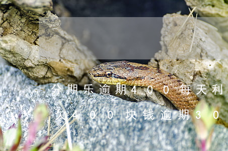 分期乐逾期400每天利息是多少-分期乐欠400块钱逾期30天会怎么样