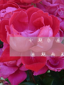 分期乐逾期一天说要打紧急联系人-分期乐逾期两天就说打紧急联系人电话