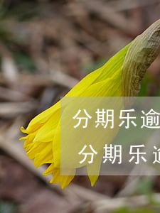 分期乐逾期一天还款现在借不了怎么回事-分期乐逾期了一天还了怎么用不了呢
