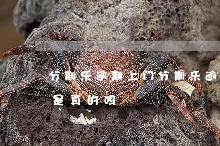 分期乐逾期上门 分期乐逾期了说要走访上门是真的吗