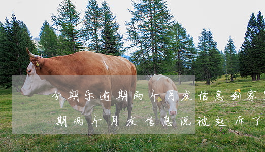 分期乐逾期两个月发信息到家里-分期乐逾期两个月,发信息说被起诉了