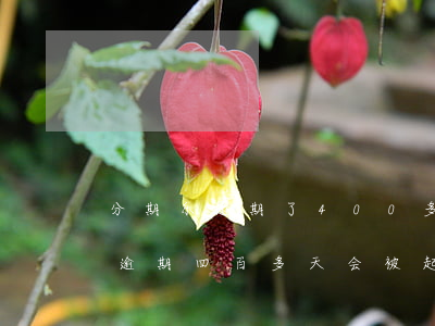 分期乐逾期了400多天会被告吗-分期乐逾期四百多天会被起诉贷款诈骗吗