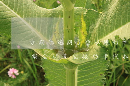 分期乐逾期了会从银行卡扣钱吗-分期乐逾期会从其它银行卡代扣吗?