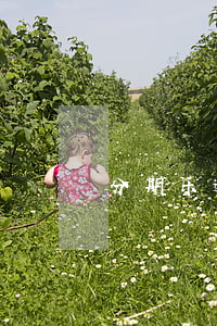 分期乐逾期了会增加利息吗