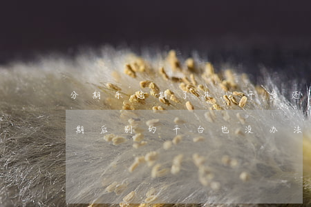 分期乐逾期了其它平台还能借嘛-分期乐逾期后别的平台也没办法借钱吗