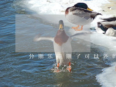 分期乐逾期了可以还吗(分期乐逾期还能用)