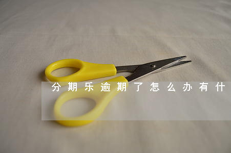 分期乐逾期了怎么办有什么影响-
