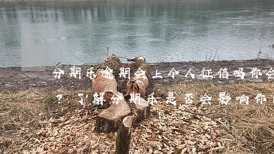 分期乐逾期会上个人征信吗，你会逾期还款吗？了解分期乐是否会影响你的个人征信！