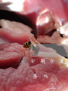 分期乐逾期会影响房贷吗(分期乐影响按揭买房吗)