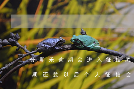 分期乐逾期会进入征信黑名单吗-分期乐逾期还款以后个人征信会不会拉黑黑名单