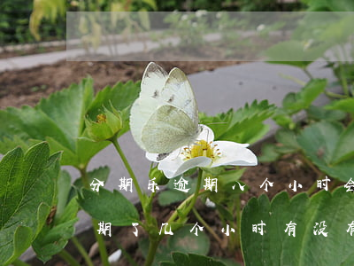 分期乐逾期八个小时会上征信嘛-分期乐逾期了几个小时有没有影响?